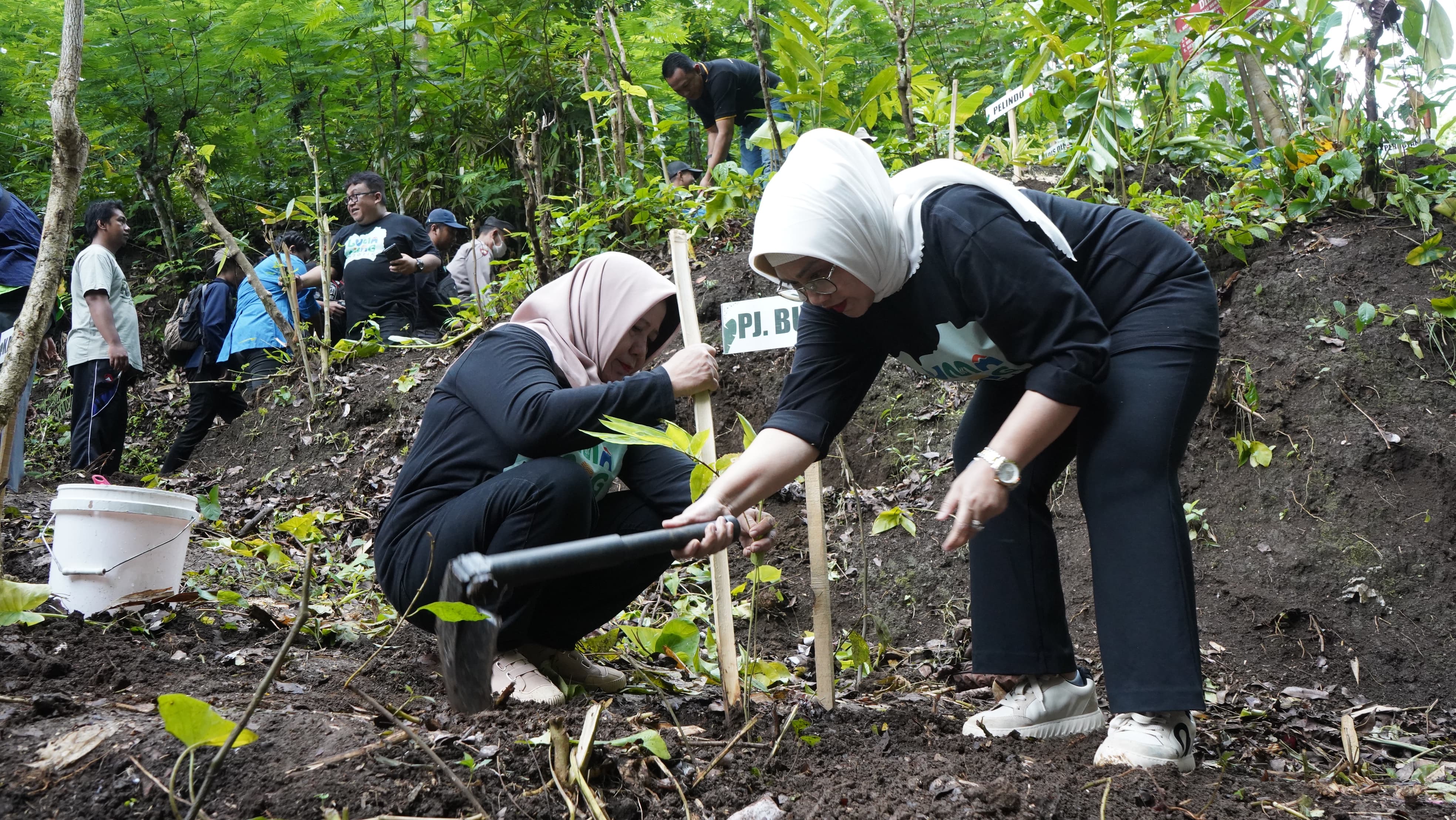 Selamatkan Sumber Mata Air, 850 Bibit Pohon Ditanam