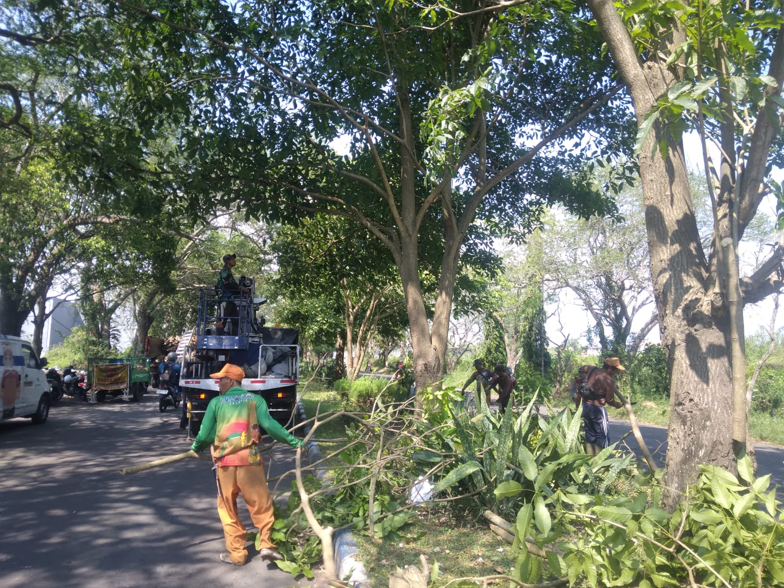 Pastikan Rasa Aman Saat Berkendara, Pohon Sepanjang Embong Kembar Dirapikan