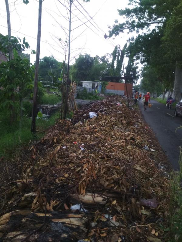 TPS Sudah Besar, Buang Sampah Kok di Jalan